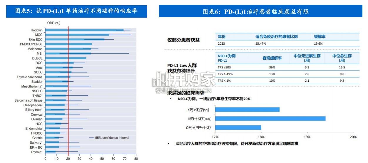 PD-(L)1行业研究报告:PD-(L)1双抗重塑免疫治疗(80页)-第1张图片 PD-(L)1行业研究报告:PD-(L)1双抗重塑免疫治疗(80页)-第1张图片