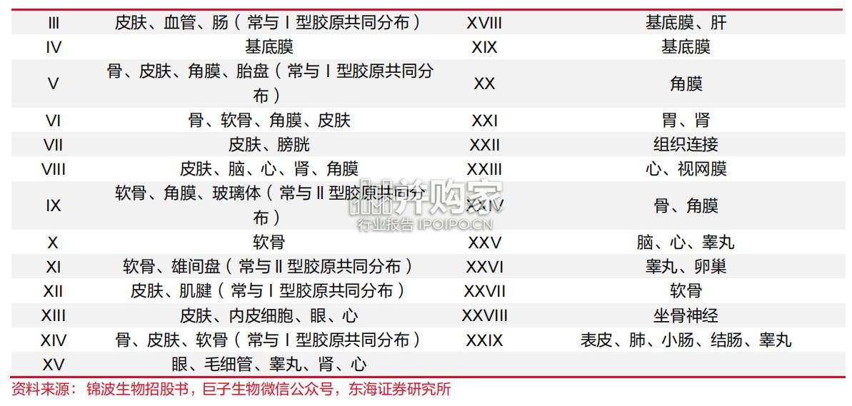 胶原蛋白行业报告(26页)-第1张图片 胶原蛋白行业报告(26页)-第1张图片