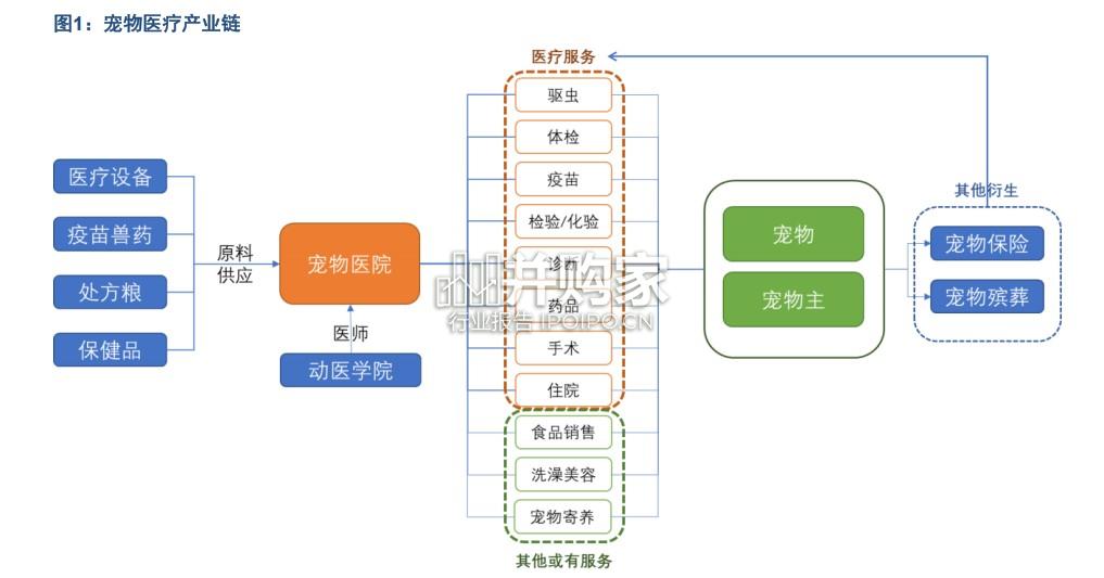 宠物医疗行业报告:宠物医院(32页)-第1张图片 宠物医疗行业报告:宠物医院(32页)-第1张图片