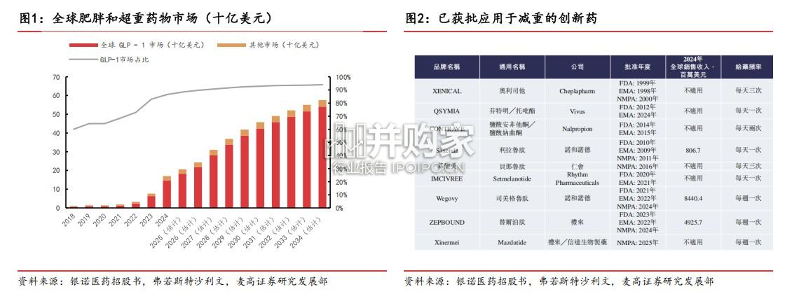减重药物行业报告:后GLP-1减重时代百花齐放(30页)-第1张图片 减重药物行业报告:后GLP-1减重时代百花齐放(30页)-第1张图片