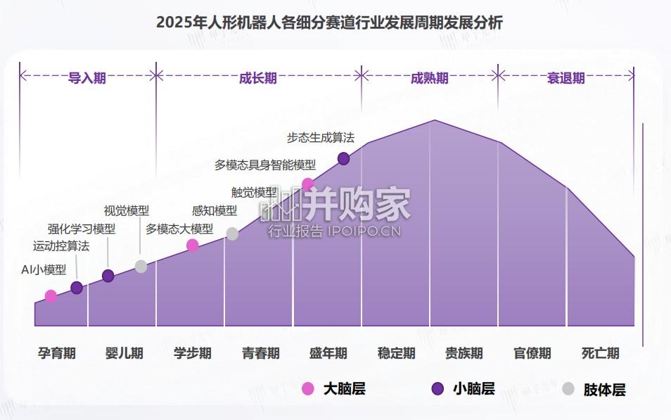 人形机器人大模型行业报告(25页)-第1张图片 人形机器人大模型行业报告(25页)-第1张图片