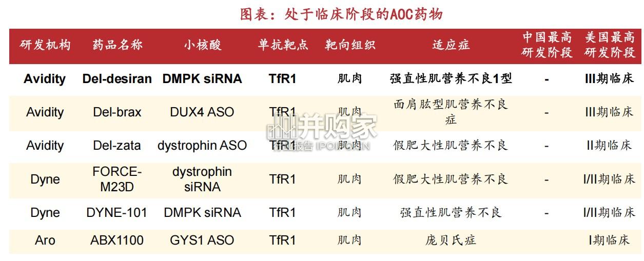 小核酸行业报告：从罕见病到慢性病（63页）-第1张图片