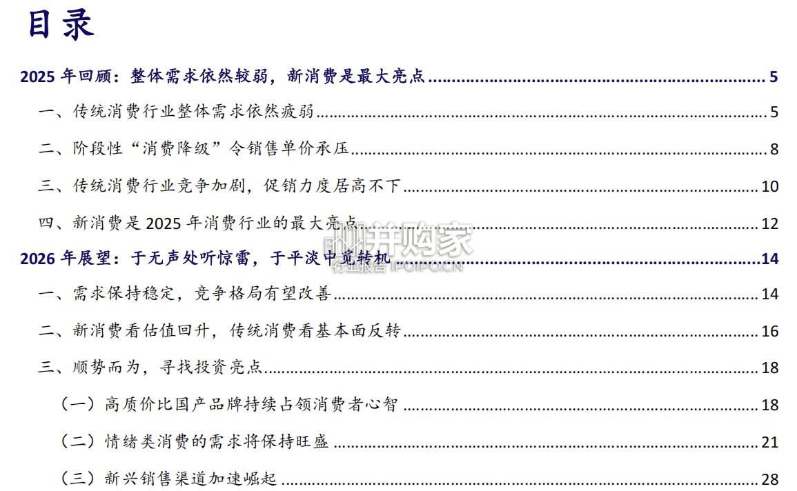 消费行业2026年展望报告(51页)-第1张图片 消费行业2026年展望报告(51页)-第1张图片