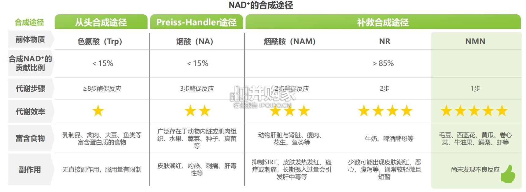 中国NMN行业研究报告:β-烟酰胺单核苷酸(48页)-第1张图片 中国NMN行业研究报告:β-烟酰胺单核苷酸(48页)-第1张图片