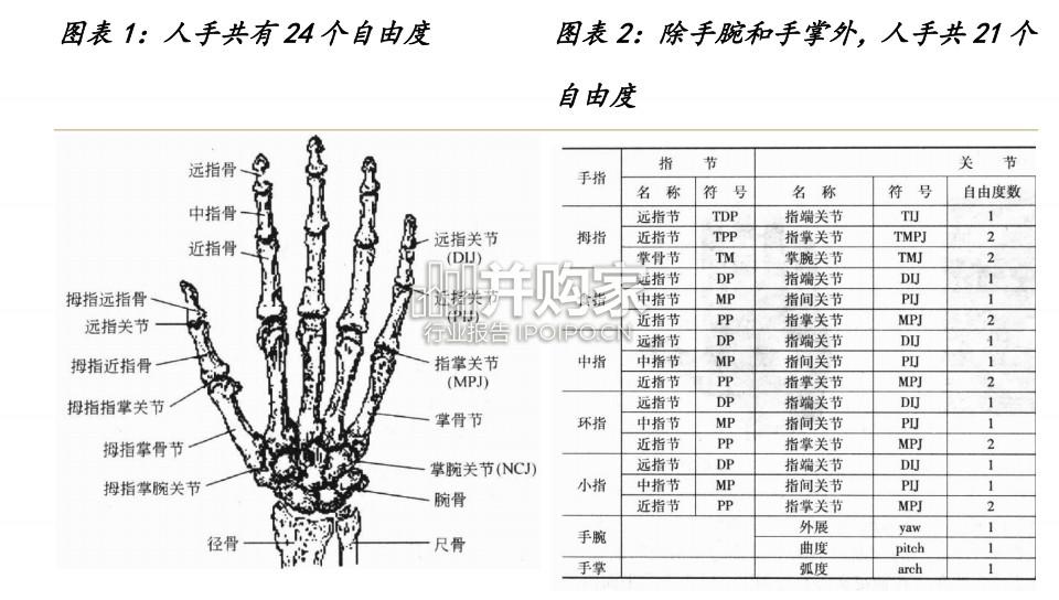 灵巧手行业报告:结构向高承载发展,四缸数量或倍增(50页)-第1张图片 灵巧手行业报告:结构向高承载发展,四缸数量或倍增(50页)-第1张图片
