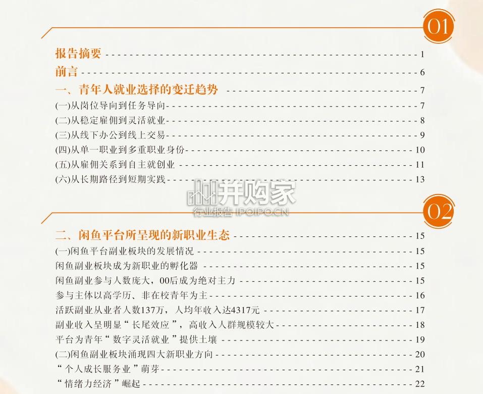 数字平台中的青年新职业趋势研究报告:以闲鱼为例(52页)-第1张图片 数字平台中的青年新职业趋势研究报告:以闲鱼为例(52页)-第1张图片