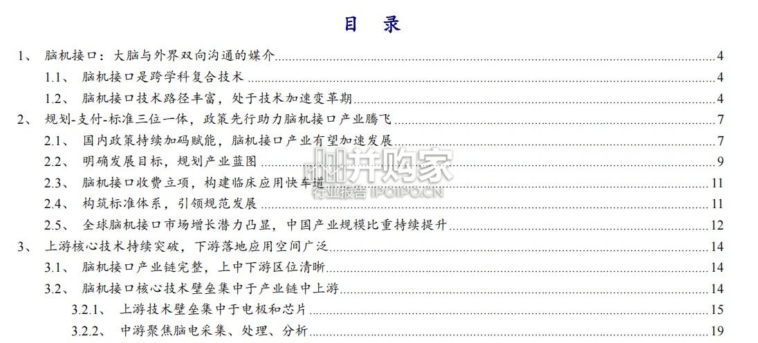 脑机接口行业报告（30页）-第1张图片