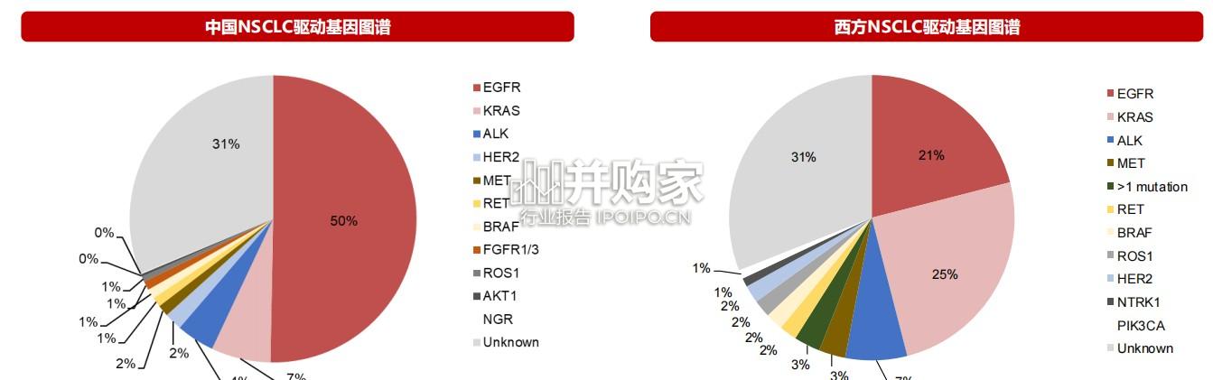 驱动基因阴性NSCLC专题报告:下一代治疗范式,双抗、IO+ADC(50页)-第1张图片 驱动基因阴性NSCLC专题报告:下一代治疗范式,双抗、IO+ADC(50页)-第1张图片