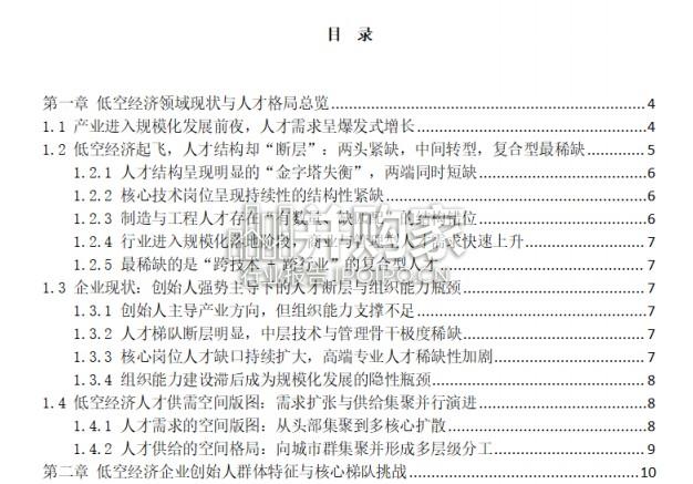 中国低空经济人才发展报告(24页)-第1张图片 中国低空经济人才发展报告(24页)-第1张图片