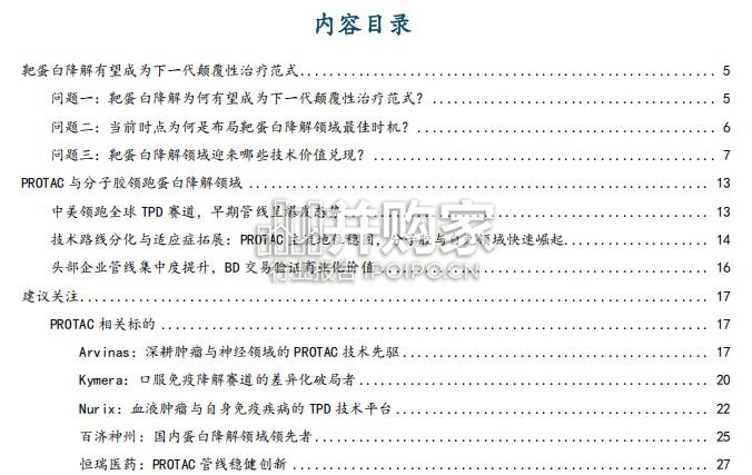 靶蛋白降解TPD行业报告:下一代颠覆性治疗范式迎来商业化元年(41页)-第1张图片 靶蛋白降解TPD行业报告:下一代颠覆性治疗范式迎来商业化元年(41页)-第1张图片
