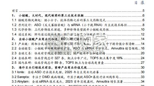 小核酸药物行业报告(45页)-第1张图片 小核酸药物行业报告(45页)-第1张图片
