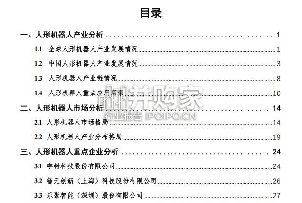 2025年人形机器人市场研究报告(41页)-第1张图片 2025年人形机器人市场研究报告(41页)-第1张图片