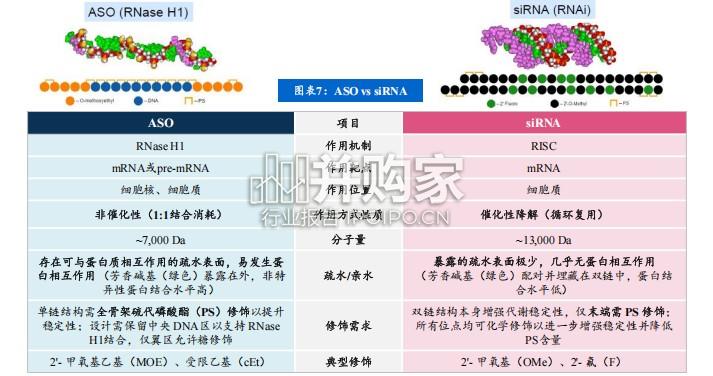 小核酸行业报告：小核酸成药之路（40页）-第1张图片