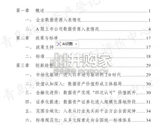 2025年数据资源入表年度发展报告(49页)-第1张图片 2025年数据资源入表年度发展报告(49页)-第1张图片