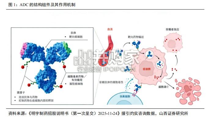 抗体偶联药物(ADC)行业报告:靶点多元化+IO联用创新,开启肿瘤精准治疗新周期(46页)-第1张图片 抗体偶联药物(ADC)行业报告:靶点多元化+IO联用创新,开启肿瘤精准治疗新周期(46页)-第1张图片