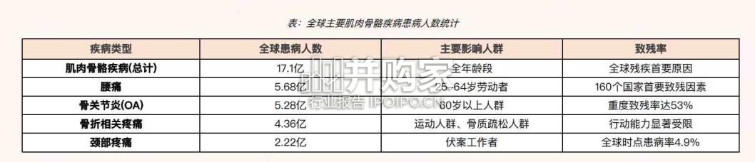 肌骨健康蓝皮书(51页)-第1张图片 肌骨健康蓝皮书(51页)-第1张图片