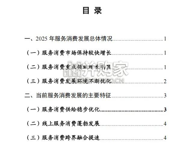 中国服务消费发展报告(29页)-第1张图片 中国服务消费发展报告(29页)-第1张图片