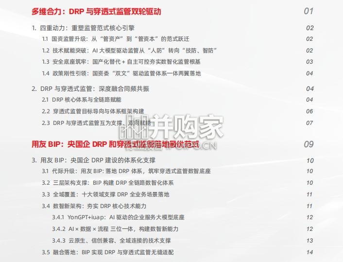 央国企DRP与穿透式监管白皮书(62页)-第1张图片 央国企DRP与穿透式监管白皮书(62页)-第1张图片