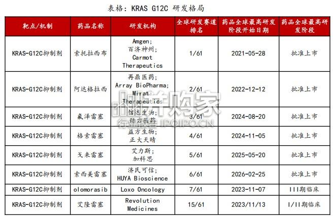 RAS靶点研究报告:从不可成药到泛靶点验证,百亿美金新赛道启航(32页)-第1张图片 RAS靶点研究报告:从不可成药到泛靶点验证,百亿美金新赛道启航(32页)-第1张图片