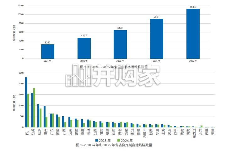 中国定制客运发展报告（41页）-第1张图片