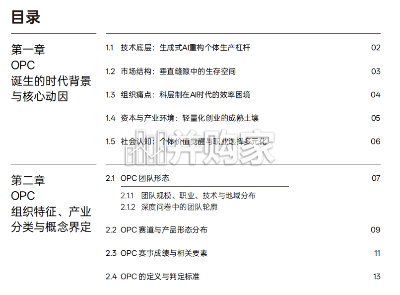 2026中国OPC一人公司深度洞察报告(80页)-第1张图片 2026中国OPC一人公司深度洞察报告(80页)-第1张图片