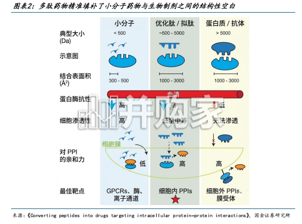 口服环肽行业报告:成药性验证元年,百亿美元赛道启幕(25页)-第1张图片 口服环肽行业报告:成药性验证元年,百亿美元赛道启幕(25页)-第1张图片