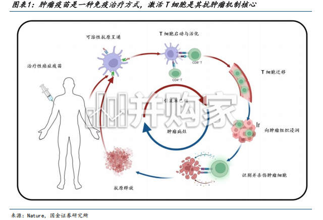 医药健康行业报告:肿瘤mRNA疫苗海外龙头迎来关键突破,赛道景气显著抬升(28页)-第1张图片 医药健康行业报告:肿瘤mRNA疫苗海外龙头迎来关键突破,赛道景气显著抬升(28页)-第1张图片