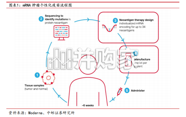 医药生物深度报告:从mRNA个性化疫苗临床突破看测序潜在需求提升(10页)-第1张图片 医药生物深度报告:从mRNA个性化疫苗临床突破看测序潜在需求提升(10页)-第1张图片